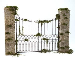 Old Worn Gate With Ivy