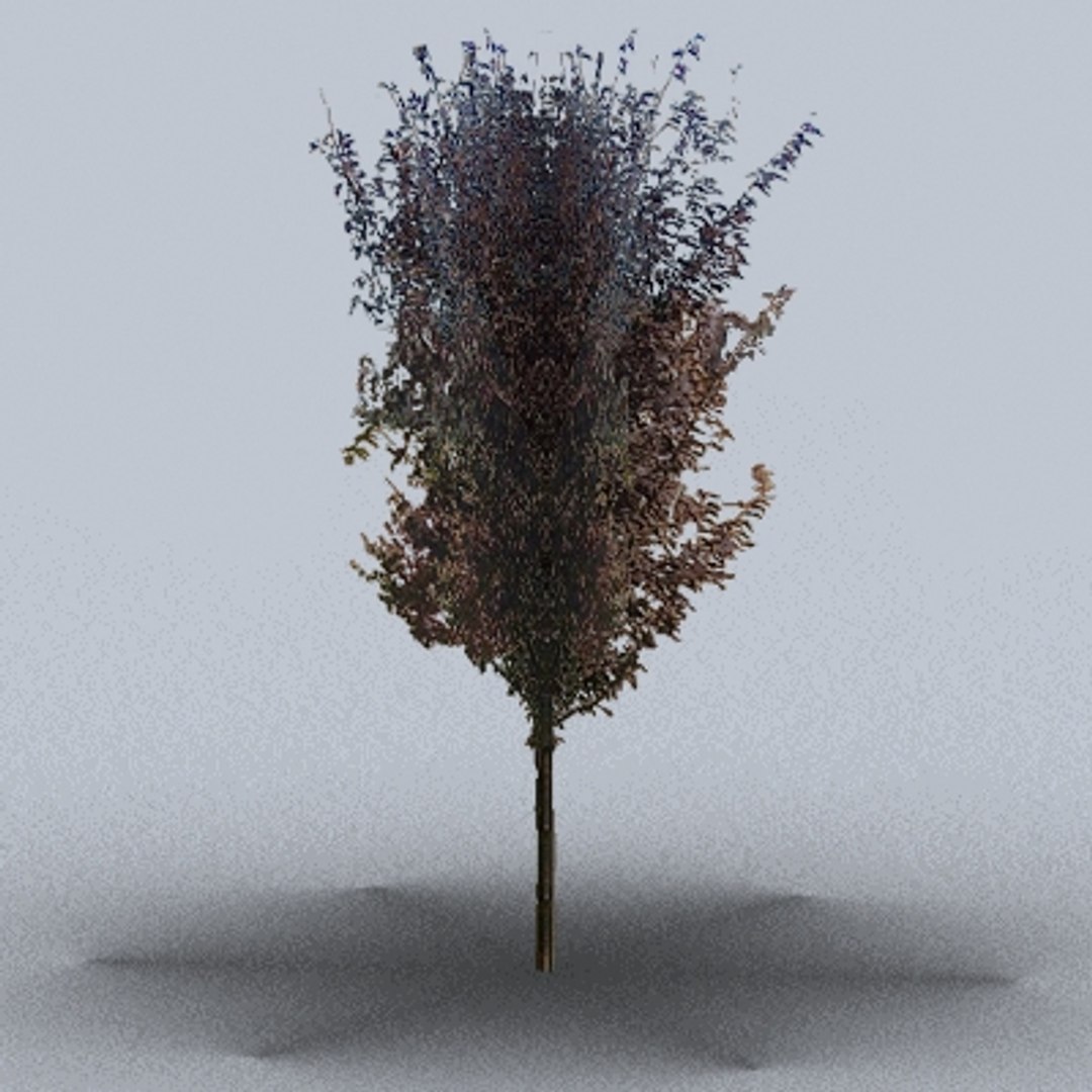 50 trees bushes 3ds https://p.turbosquid.com/ts-thumb/Pm/pZfHEY/6p8aIZzl/tree37/jpg/1155920688/1920x1080/fit_q87/3fa18559208921c7f5c2215463810809c7821cea/tree37.jpg