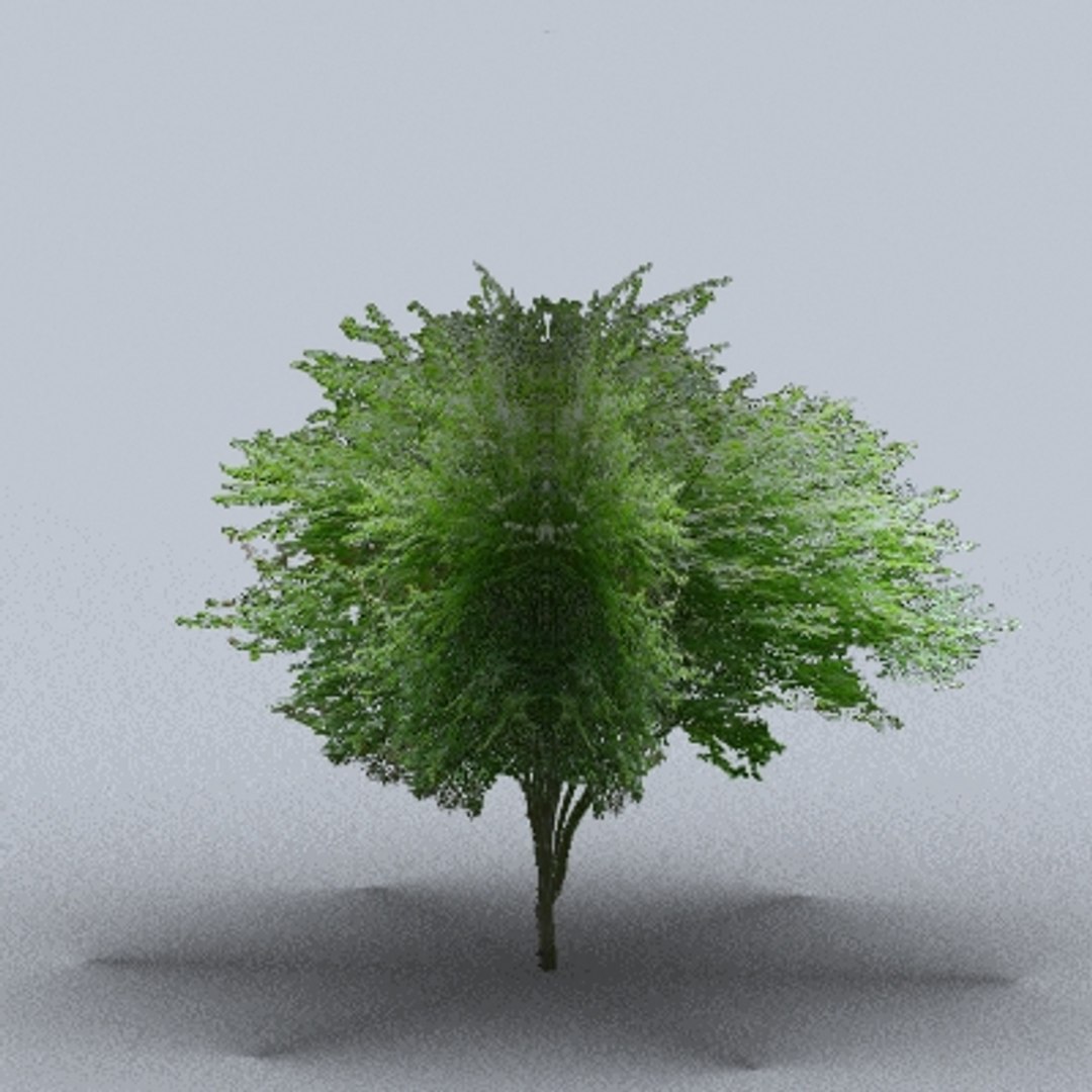 50 trees bushes 3ds https://p.turbosquid.com/ts-thumb/Pm/pZfHEY/8KzwHCJc/tree33/jpg/1155920648/1920x1080/fit_q87/2071e7a5764bfd28f4ddb93c71bfb8a336eef1a4/tree33.jpg