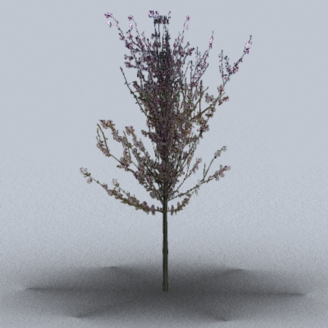 50 trees bushes 3ds https://p.turbosquid.com/ts-thumb/Pm/pZfHEY/D9LWmtc6/tree36/jpg/1155920679/1920x1080/fit_q87/039b87c94da9a17ac07c7e61a0fbc84233057c49/tree36.jpg