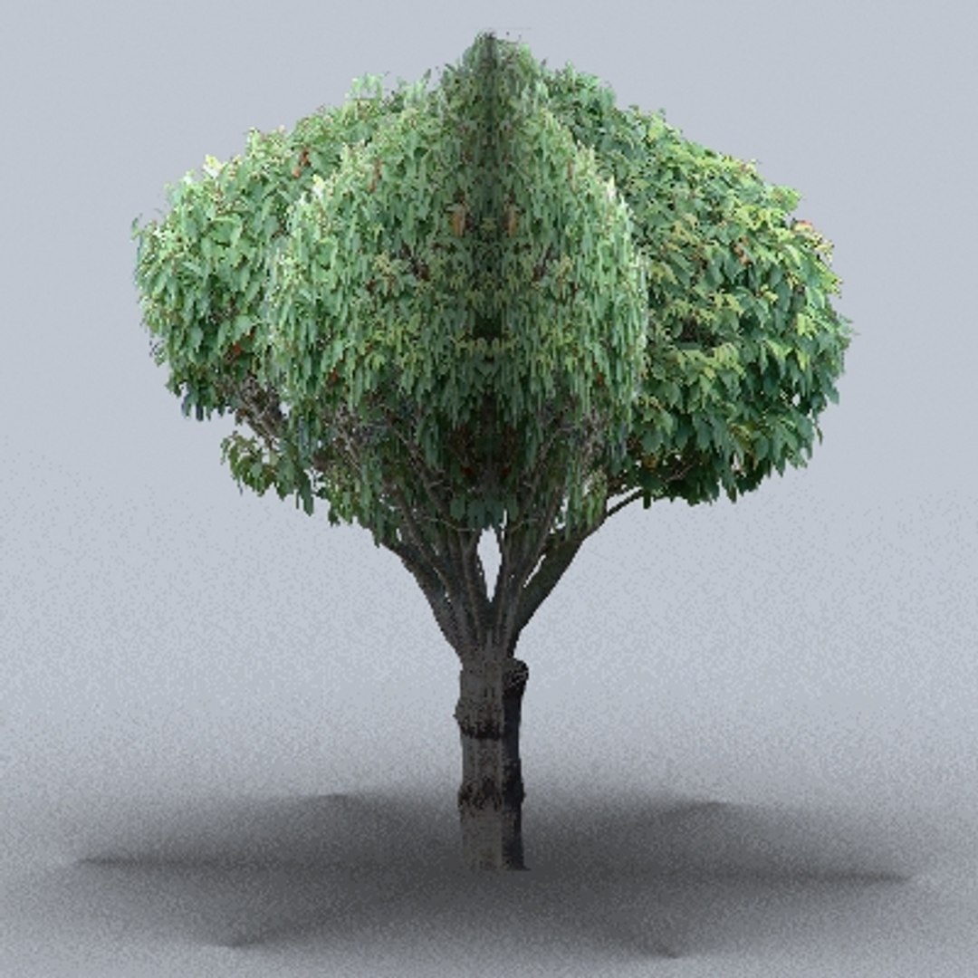 50 trees bushes 3ds https://p.turbosquid.com/ts-thumb/Pm/pZfHEY/Ds1u8TdE/tree49/jpg/1155920789/1920x1080/fit_q87/7673b460f3970738fe220a46f35d5e52b16cc4bb/tree49.jpg