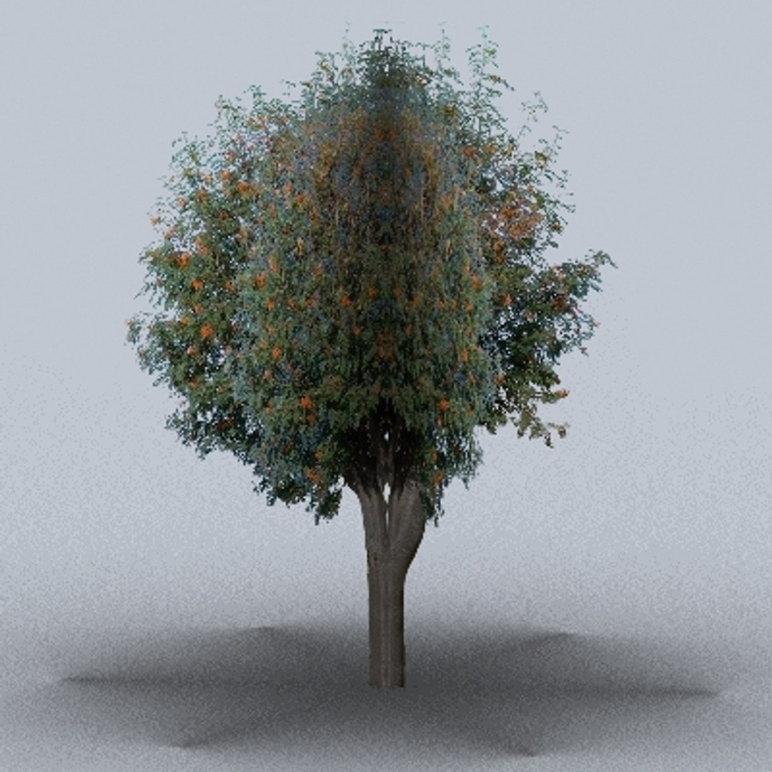 50 trees bushes 3ds https://p.turbosquid.com/ts-thumb/Pm/pZfHEY/FUSjrOhc/tree50/jpg/1155920799/1920x1080/fit_q87/7c9771450f461c82c11ada6ac21a0b426ccd0d59/tree50.jpg