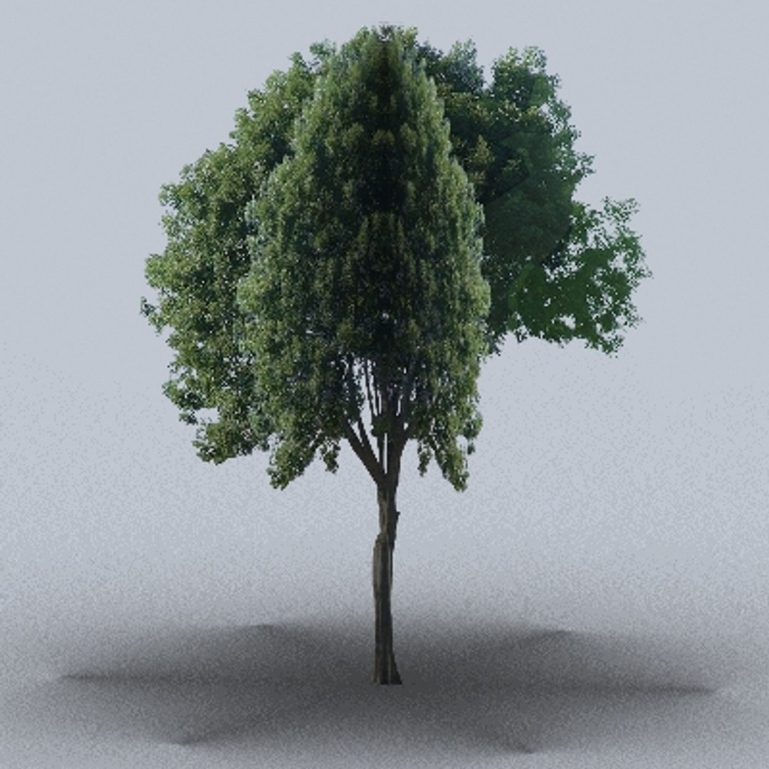 50 trees bushes 3ds https://p.turbosquid.com/ts-thumb/Pm/pZfHEY/IHmjy7Il/tree51/jpg/1155924437/1920x1080/fit_q87/a866adbbe886b81d2aefcad79c927eb8bca3fbf0/tree51.jpg