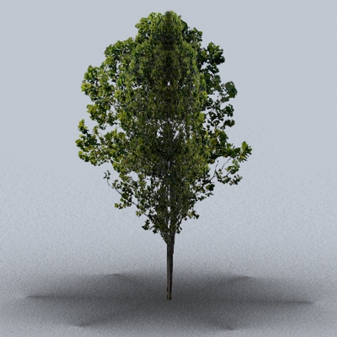 50 trees bushes 3ds https://p.turbosquid.com/ts-thumb/Pm/pZfHEY/SnlJzI5k/tree07/jpg/1155920153/1920x1080/fit_q87/195c268205e3b5b0c4a9ac946faee1586696b3b9/tree07.jpg