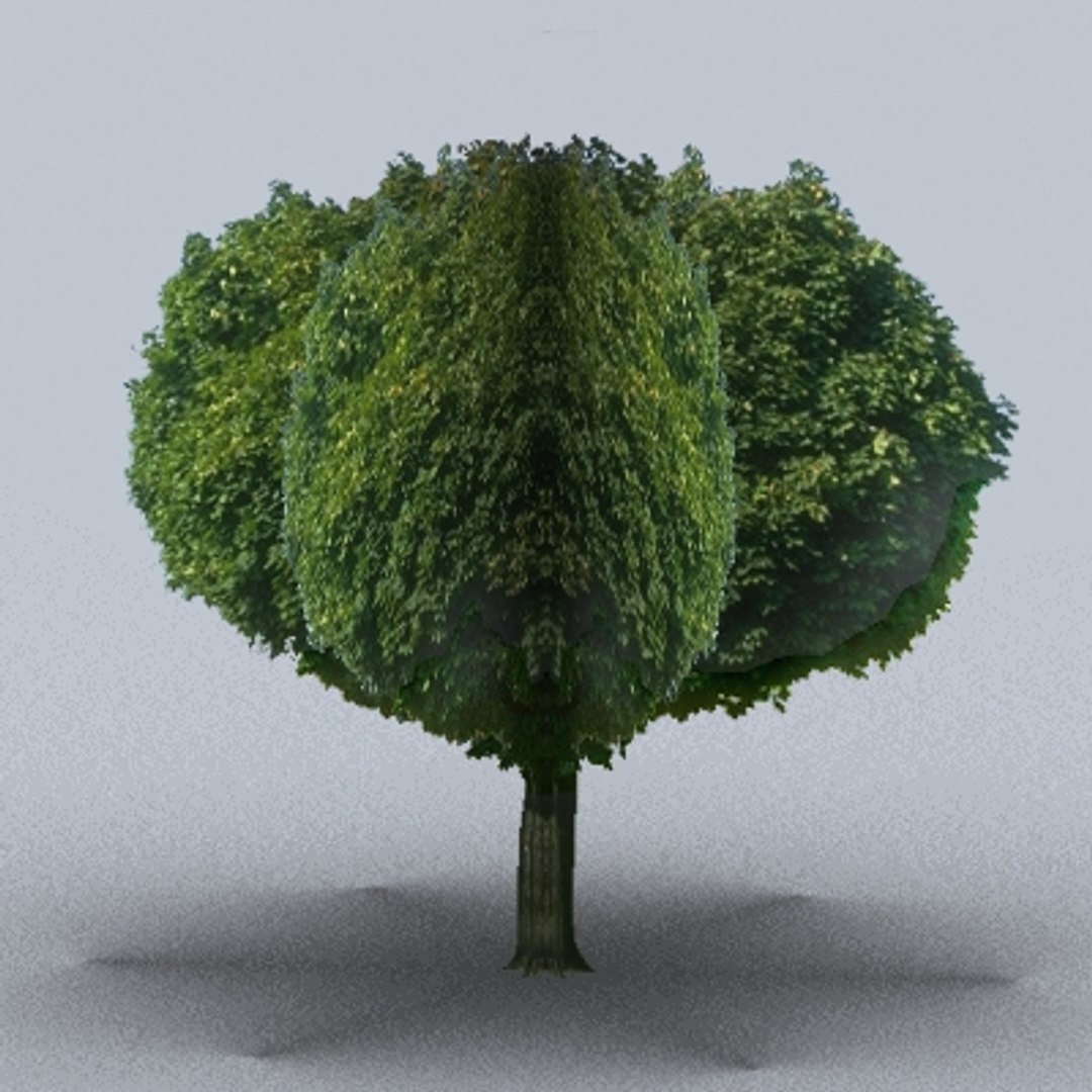 50 trees bushes 3ds https://p.turbosquid.com/ts-thumb/Pm/pZfHEY/WrsLMpj9/tree35/jpg/1155920668/1920x1080/fit_q87/e2ae4b2010f5ffd0a28f3aebf215078fb3178668/tree35.jpg