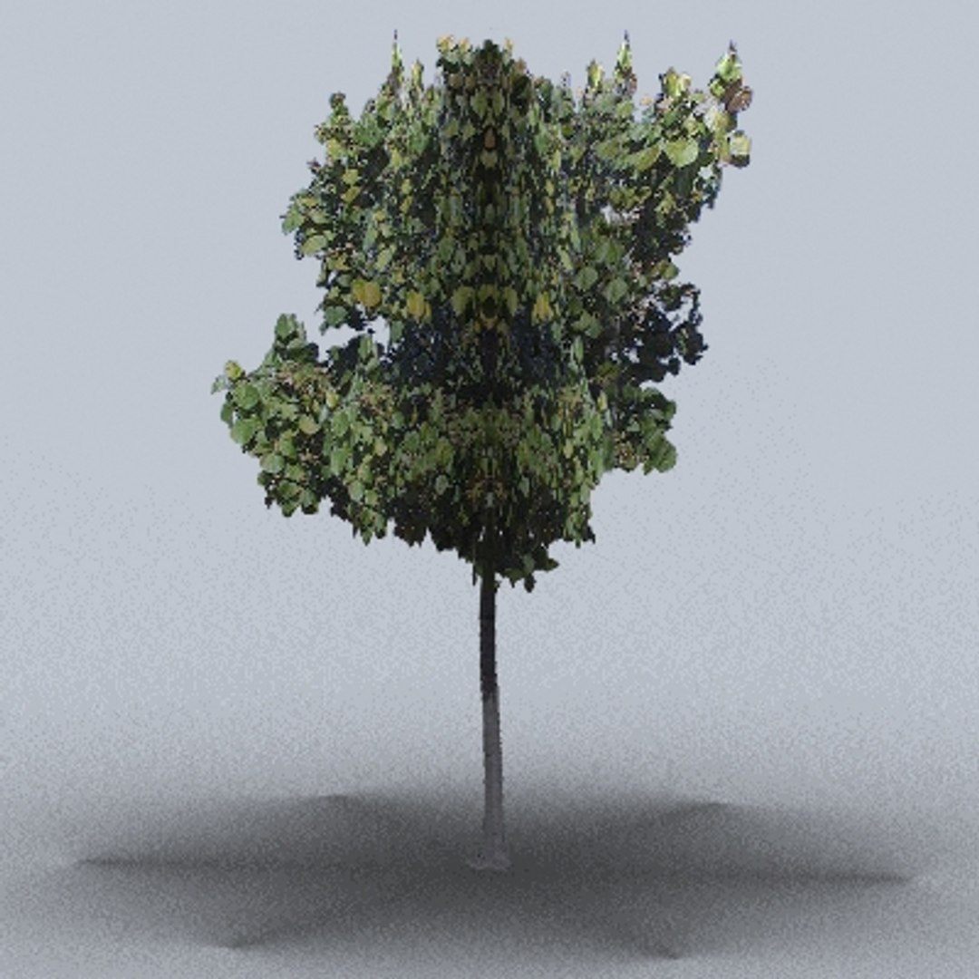 50 trees bushes 3ds https://p.turbosquid.com/ts-thumb/Pm/pZfHEY/eF4fPLAB/tree18/jpg/1155920241/1920x1080/fit_q87/beffe6c2487d3fb943f40518359df857c4f030ff/tree18.jpg