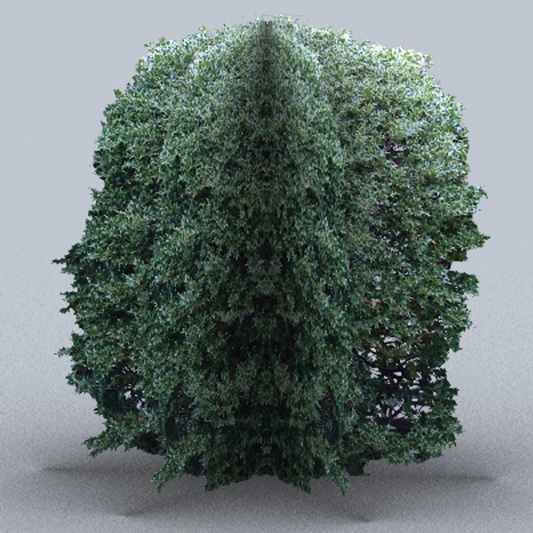 50 trees bushes 3ds https://p.turbosquid.com/ts-thumb/Pm/pZfHEY/hc5SCGWb/tree42/jpg/1155920736/1920x1080/fit_q87/63a1b00ff8fb99a9f13267815ff9f03358cf7955/tree42.jpg