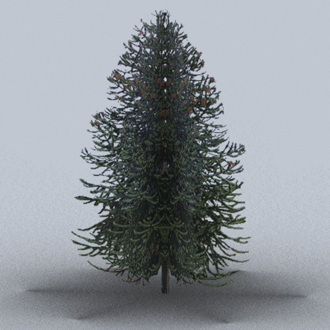50 trees bushes 3ds https://p.turbosquid.com/ts-thumb/Pm/pZfHEY/lNfk33Zq/tree08/jpg/1155920158/1920x1080/fit_q87/9cd34b28224e0b1902b1df8fea063c313493c198/tree08.jpg
