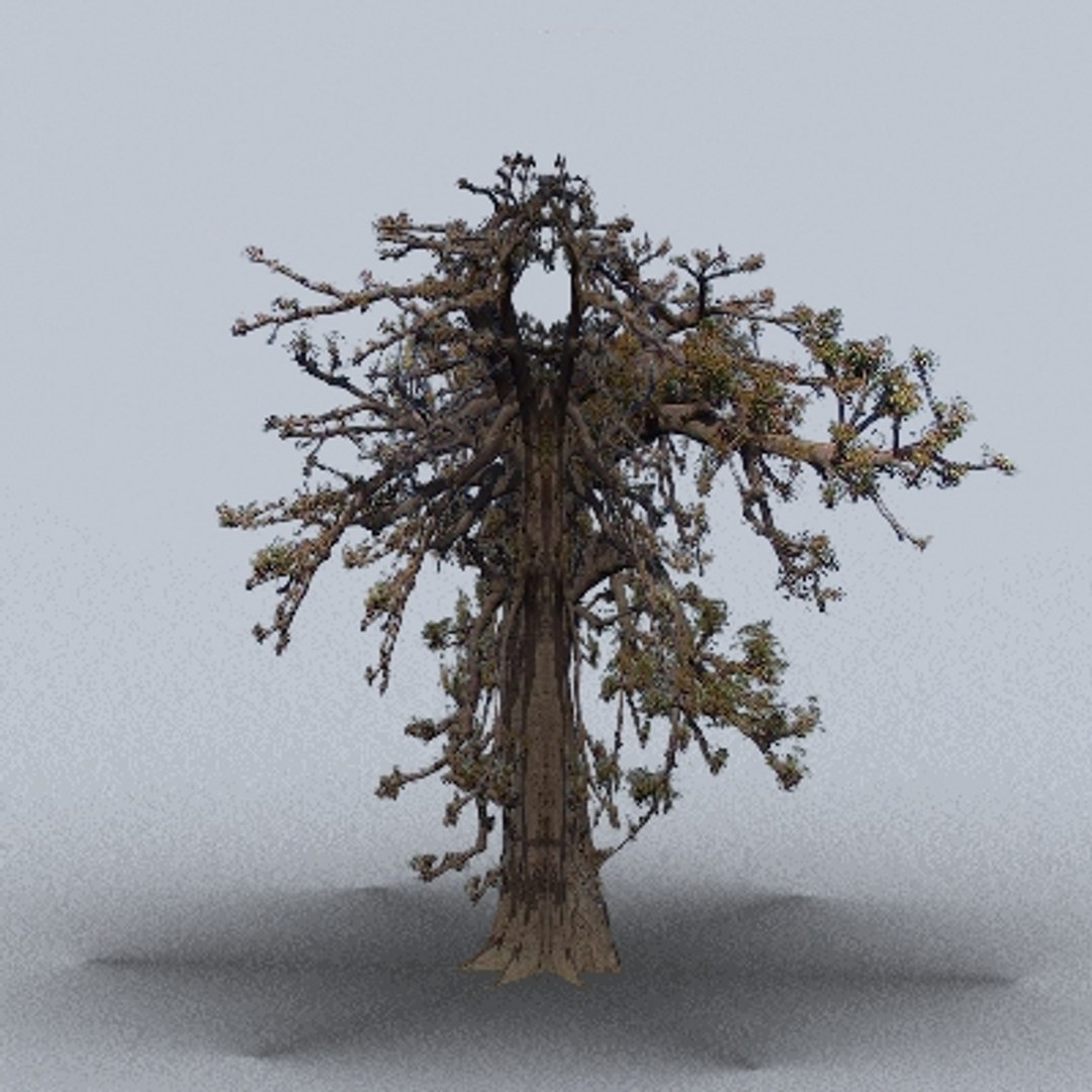 50 trees bushes 3ds https://p.turbosquid.com/ts-thumb/Pm/pZfHEY/li0FNiMK/tree13/jpg/1155920193/1920x1080/fit_q87/310c94454896d44d54ee36566a5316dbab7cf1c8/tree13.jpg