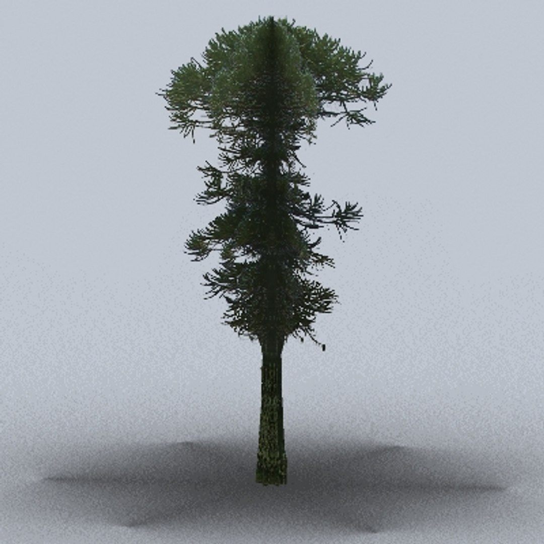 50 trees bushes 3ds https://p.turbosquid.com/ts-thumb/Pm/pZfHEY/pmHopf7w/tree09/jpg/1155920164/1920x1080/fit_q87/97844f60432caa49246f91dfdffacf13bf3d877c/tree09.jpg