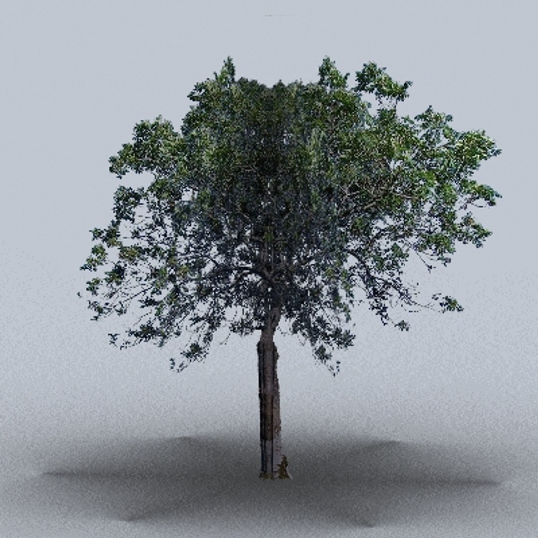 50 trees bushes 3ds https://p.turbosquid.com/ts-thumb/Pm/pZfHEY/to2I4Ya1/tree05/jpg/1155920141/1920x1080/fit_q87/f09958adeda2ee6d9f067f8c7a06c0fb155603fb/tree05.jpg