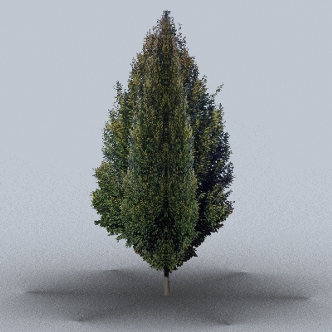 50 trees bushes 3ds https://p.turbosquid.com/ts-thumb/Pm/pZfHEY/u3zXi2cN/tree23/jpg/1155920273/1920x1080/fit_q87/3a7498f01222de78568815669c4cdb3f1bb19e3d/tree23.jpg