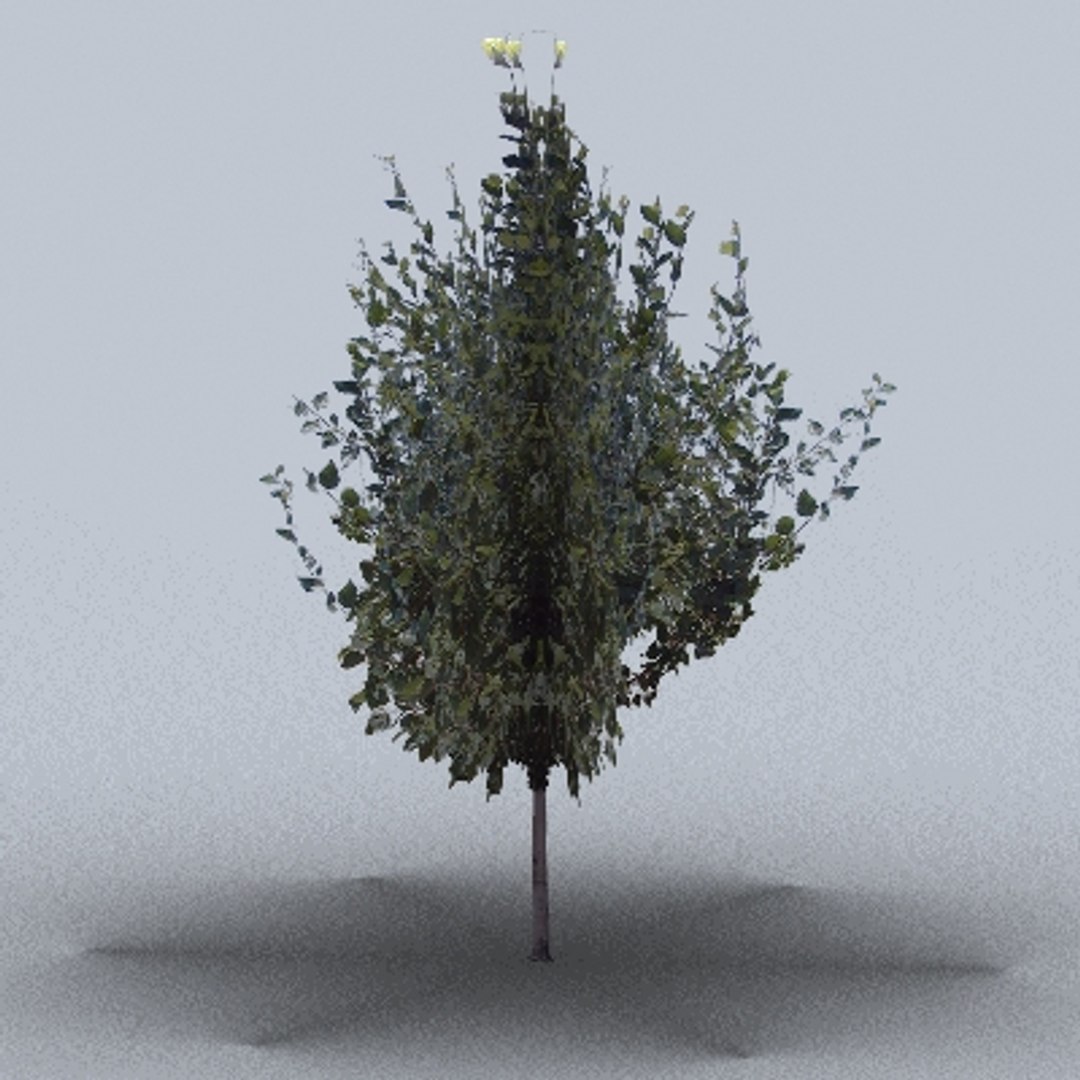 50 trees bushes 3ds https://p.turbosquid.com/ts-thumb/Pm/pZfHEY/uGGEmK4V/tree17/jpg/1155920233/1920x1080/fit_q87/dc0593eaaa34ebf1277b9f6e918ee59d45f9b53b/tree17.jpg
