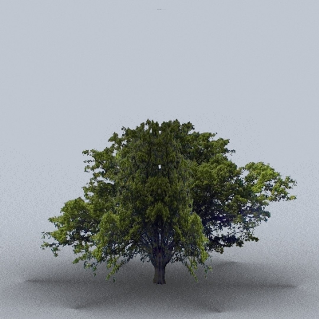 50 trees bushes 3ds https://p.turbosquid.com/ts-thumb/Pm/pZfHEY/x6bWJ2mU/tree16/jpg/1155920227/1920x1080/fit_q87/4c09e0408cc8755171f6b8adc97aa0b6e12b7e2f/tree16.jpg