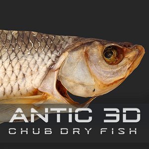 Chub dry fish