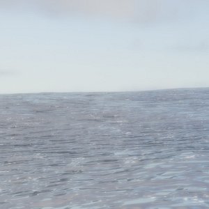 basic sea ocean water animation 3D model
