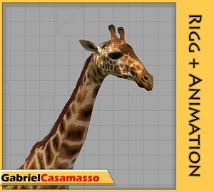 giraffe giraffa animation blend
