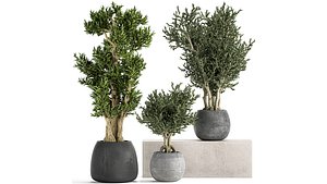 flower pot trees model
