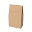 3D model Paper Bag 13