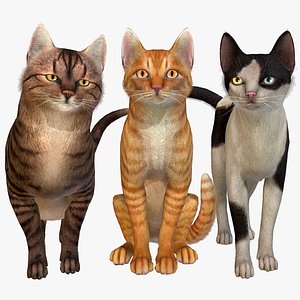 3D Cat Blender Models - Browse & Download Formats - TurboSquid