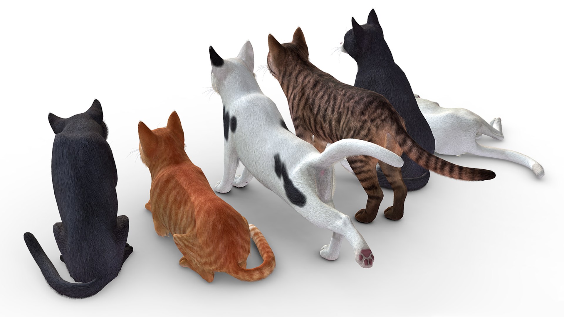 Cats pack 3D model https://p.turbosquid.com/ts-thumb/Pn/Tv9yQ2/mM/r8/png/1678382778/1920x1080/fit_q87/211a1995da5e91fc19d3114ecda973b9b8ca24c8/r8.jpg