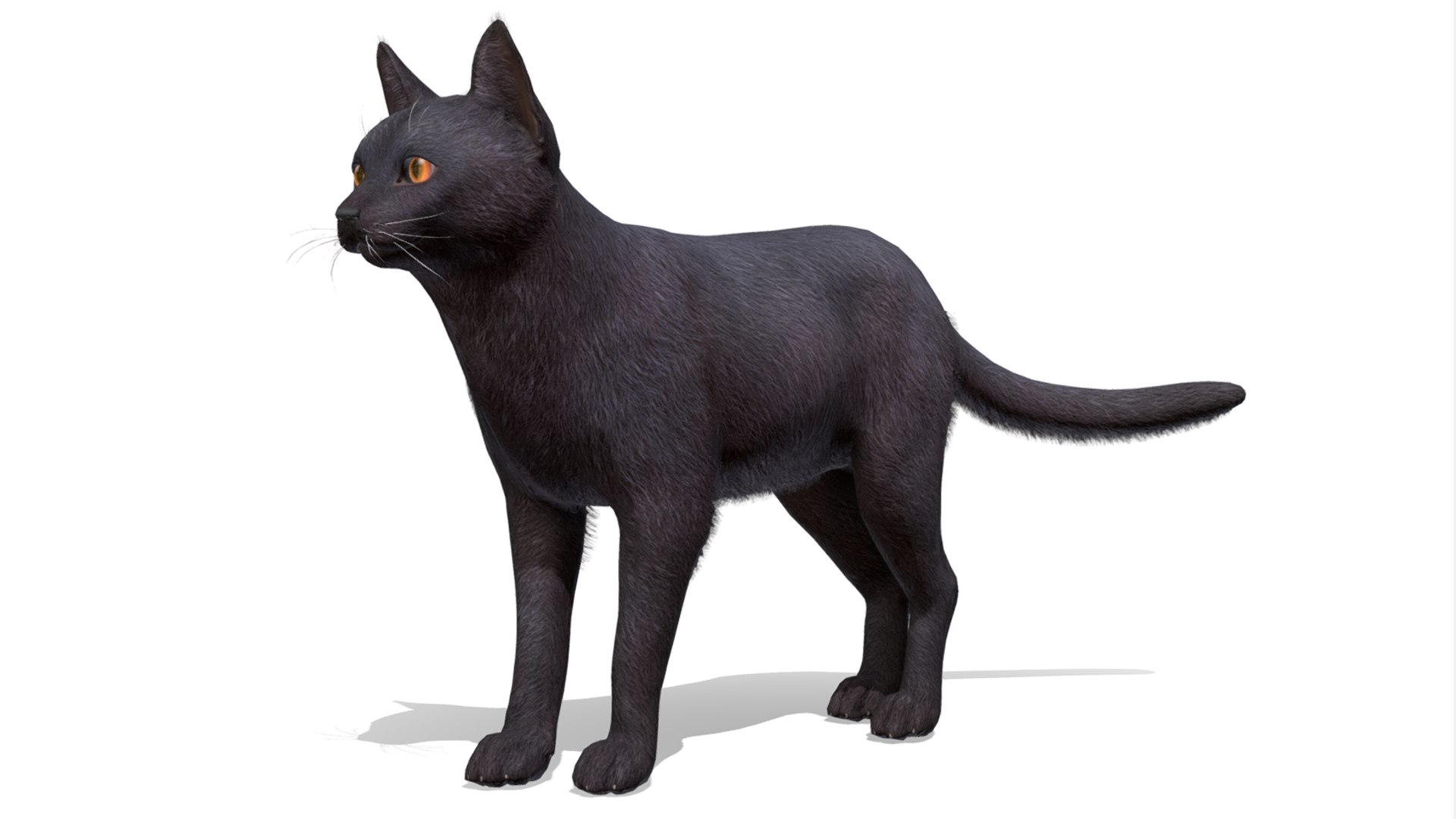 Cats pack 3D model https://p.turbosquid.com/ts-thumb/Pn/Tv9yQ2/uq/r2/png/1675505147/1920x1080/fit_q87/48423f2708a5106f7f725496f8757d2aa4a00fcd/r2.jpg