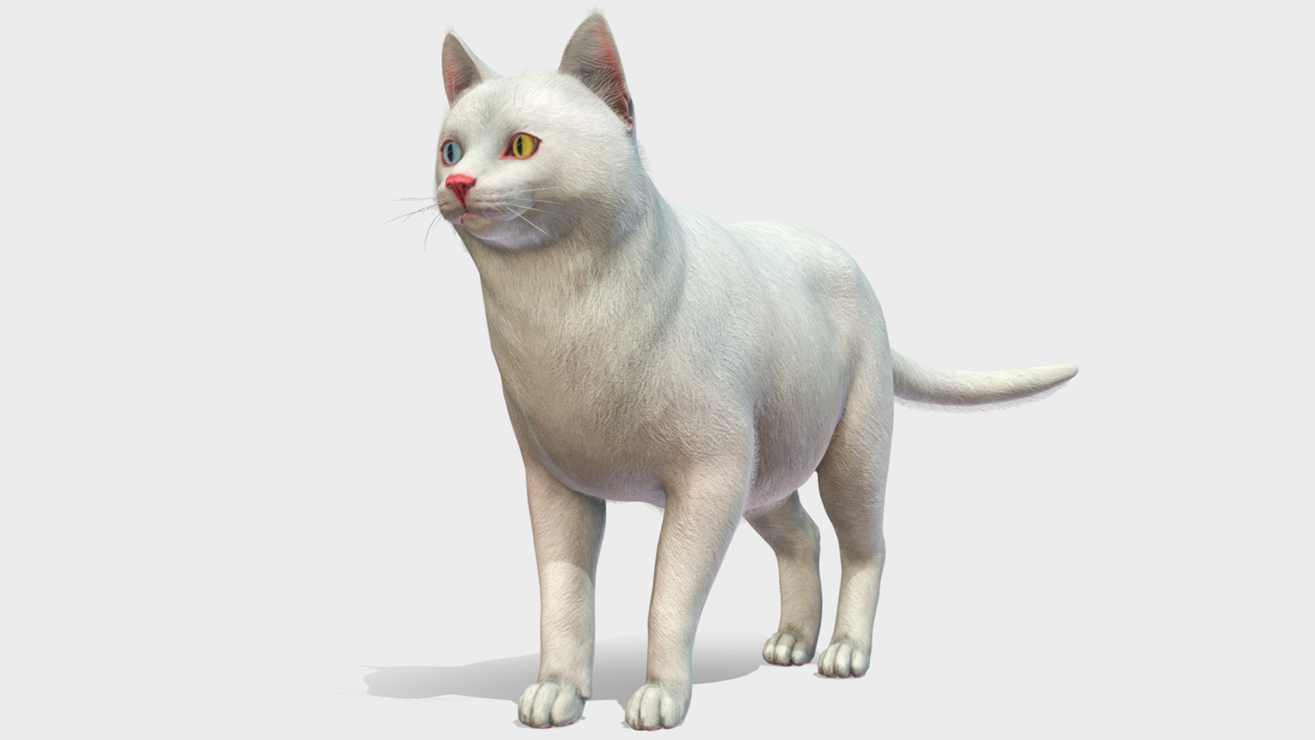 Cats pack 3D model https://p.turbosquid.com/ts-thumb/Pn/Tv9yQ2/xb/rf1/png/1678108875/1920x1080/fit_q87/b8a223759572071526467934758feebcf99d6fcb/rf1.jpg