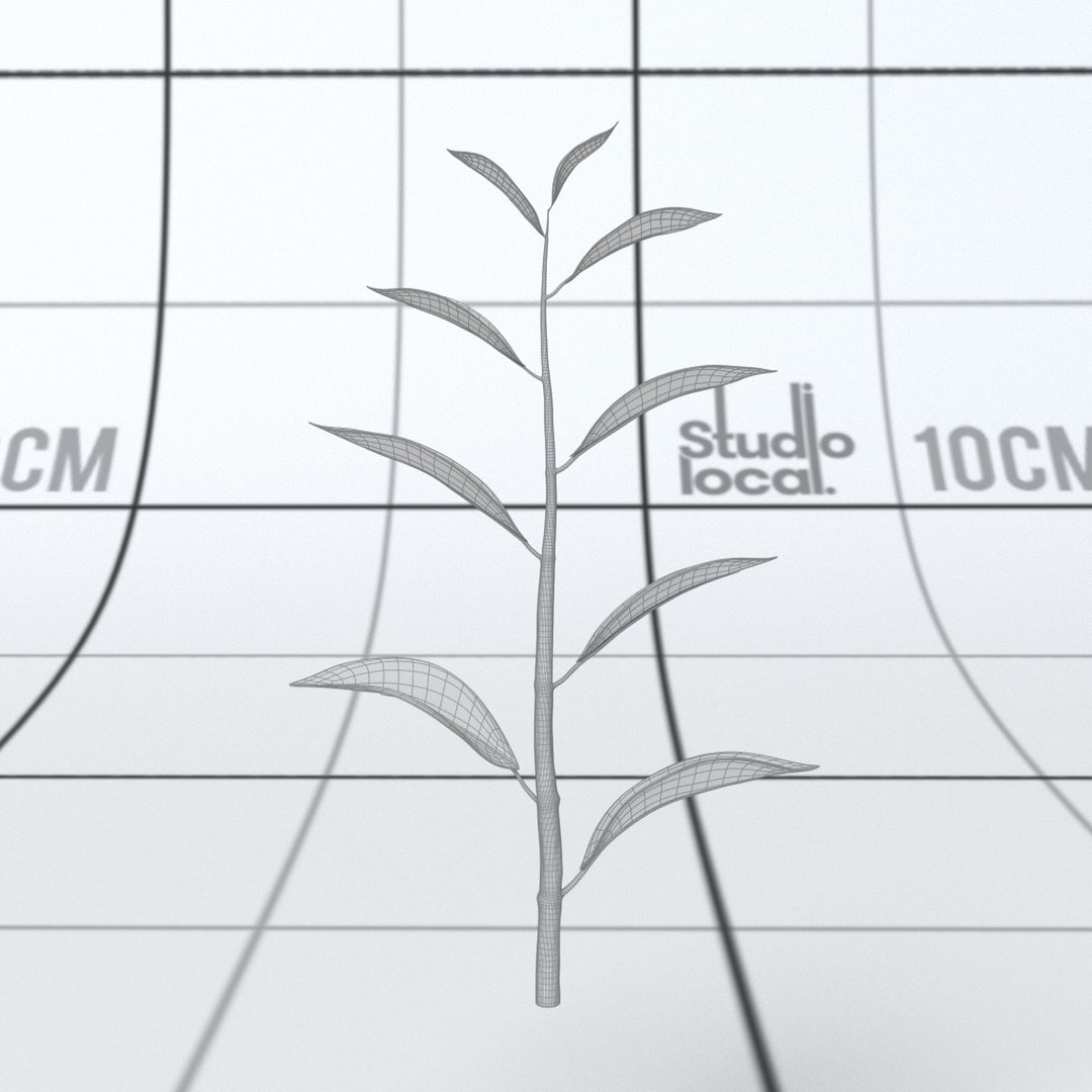 3D plant stalk leaves https://p.turbosquid.com/ts-thumb/Pn/alGJfp/2Ol9daoJ/topshoot02_front_wireframe/jpg/1528407375/1920x1080/fit_q87/6107e37e744c73c933ff69a566c97c5642231bd0/topshoot02_front_wireframe.jpg