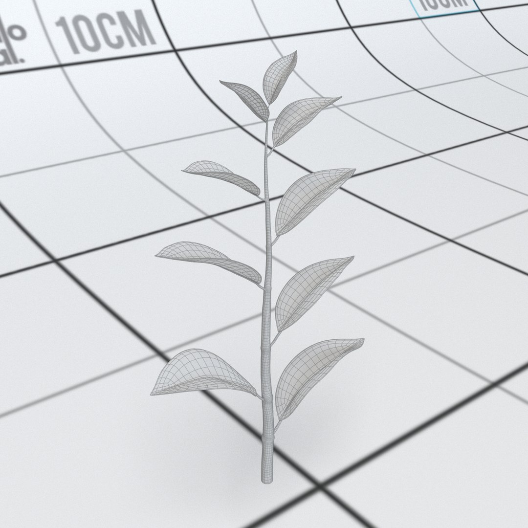 3D plant stalk leaves https://p.turbosquid.com/ts-thumb/Pn/alGJfp/cbZsVaMC/topshoot02_threequartersfront_wireframe/jpg/1528407376/1920x1080/fit_q87/ffb7840711e18dd6aea8944bbf073a1bbe27b444/topshoot02_threequartersfront_wireframe.jpg