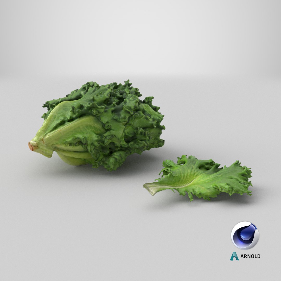 3D Frillice Iceberg Collection model https://p.turbosquid.com/ts-thumb/Pn/s4Nd5Y/01/stemcell_cinema_4d_arnold_render/png/1746792707/1920x1080/fit_q87/47ffc72919c35cab26f33b7be2ded9214b825188/stemcell_cinema_4d_arnold_render.jpg