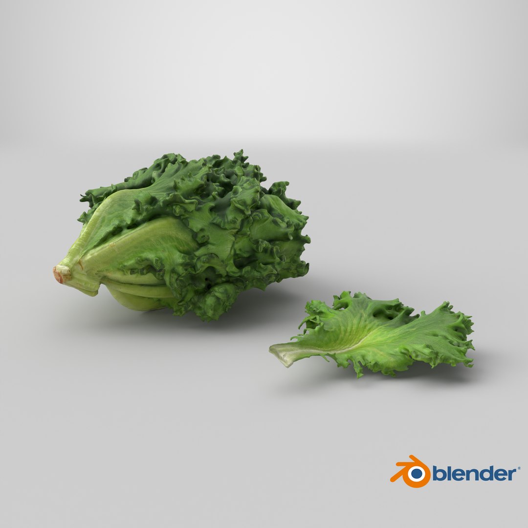 3D Frillice Iceberg Collection model https://p.turbosquid.com/ts-thumb/Pn/s4Nd5Y/Ib/stemcell_blender_cycles_render/png/1746792702/1920x1080/fit_q87/537f39a74f1aadbe26c4526827e36e6c377a57c5/stemcell_blender_cycles_render.jpg