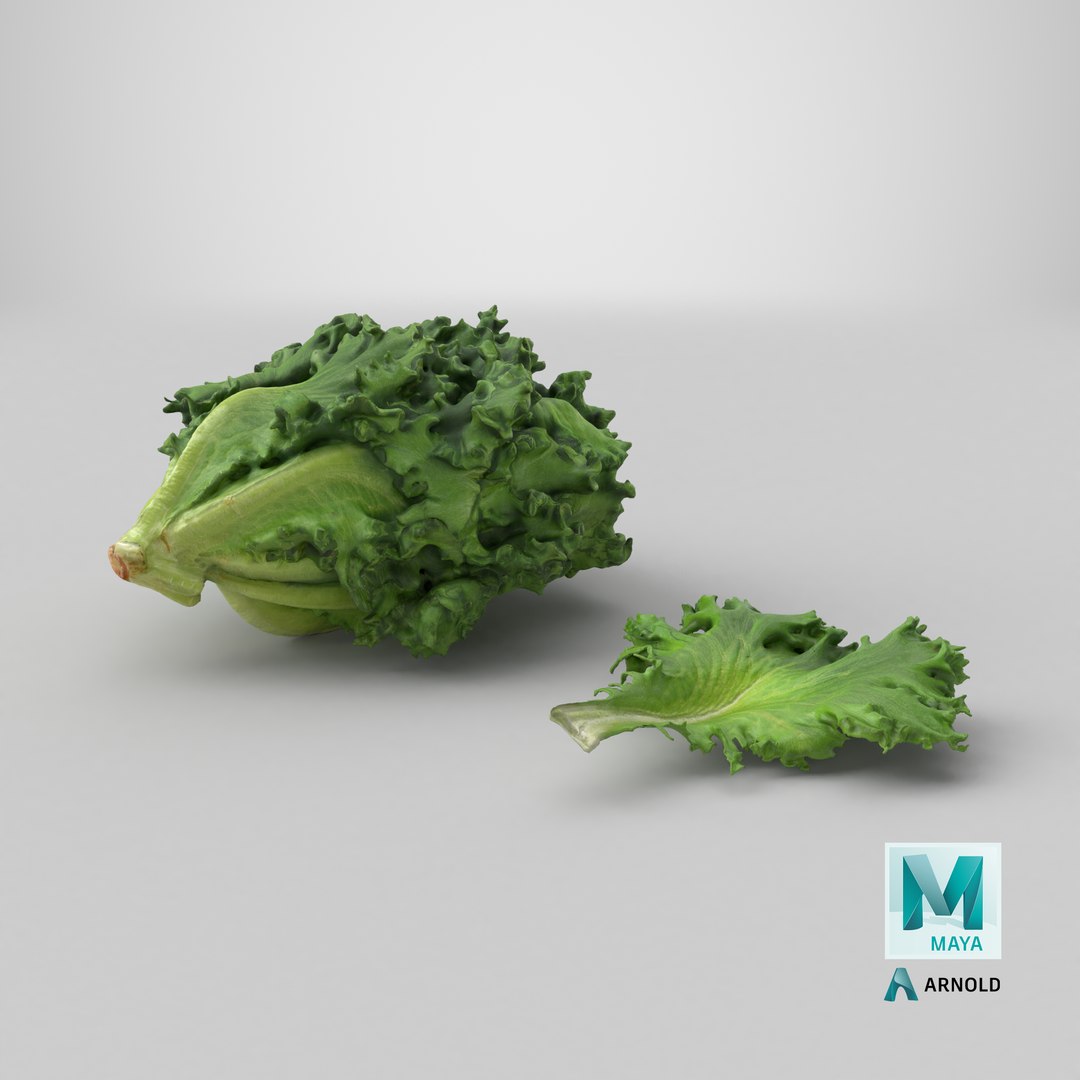 3D Frillice Iceberg Collection model https://p.turbosquid.com/ts-thumb/Pn/s4Nd5Y/eY/stemcell_maya_arnold_render/png/1746792703/1920x1080/fit_q87/4b8e0be9001dacdf9c1ffff6f8229a7e07001867/stemcell_maya_arnold_render.jpg