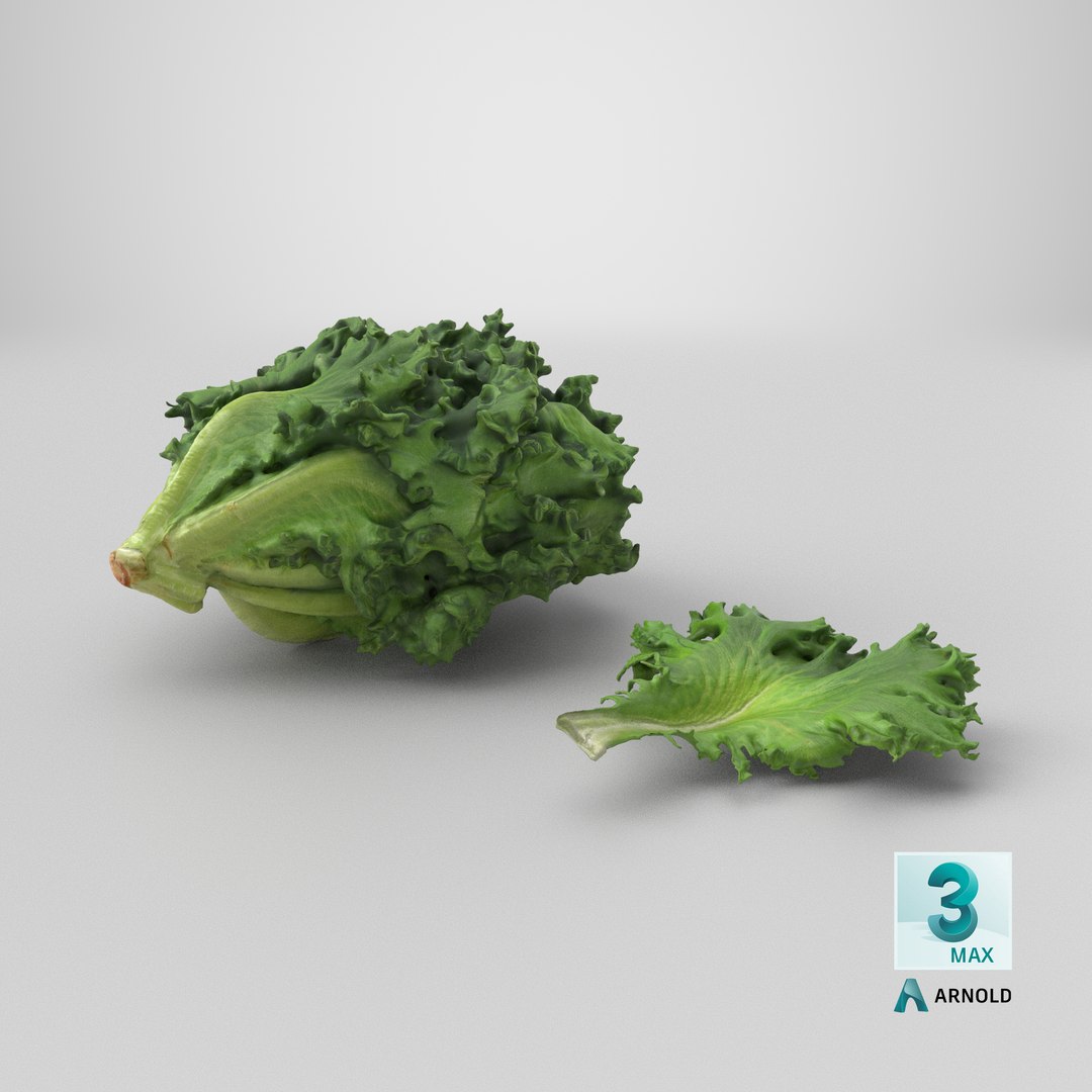 3D Frillice Iceberg Collection model https://p.turbosquid.com/ts-thumb/Pn/s4Nd5Y/zZ/stemcell_max_arnold_render/png/1746792712/1920x1080/fit_q87/f37993539261e16cdf300faf2dda762958aa401c/stemcell_max_arnold_render.jpg