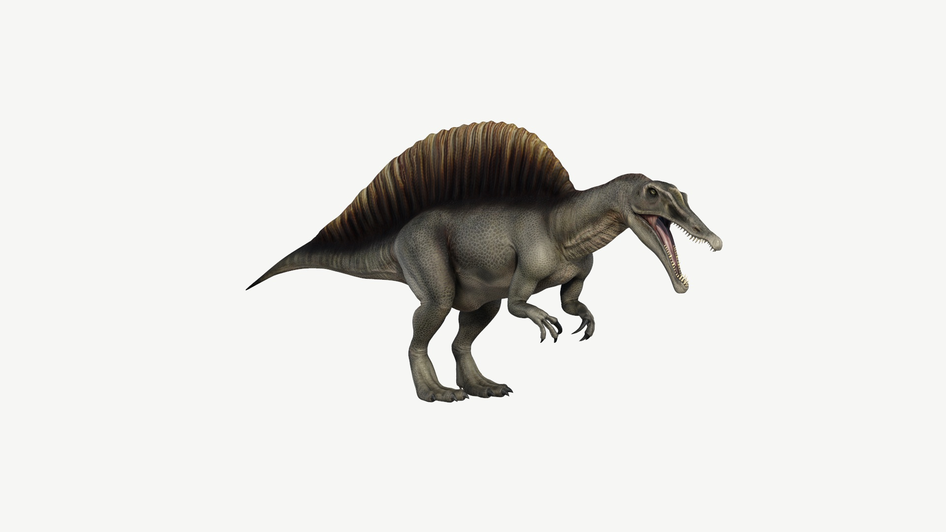 spinosaurus 3d google
