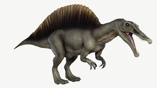 3d model spinosaurus