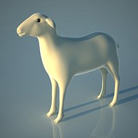 Sheep