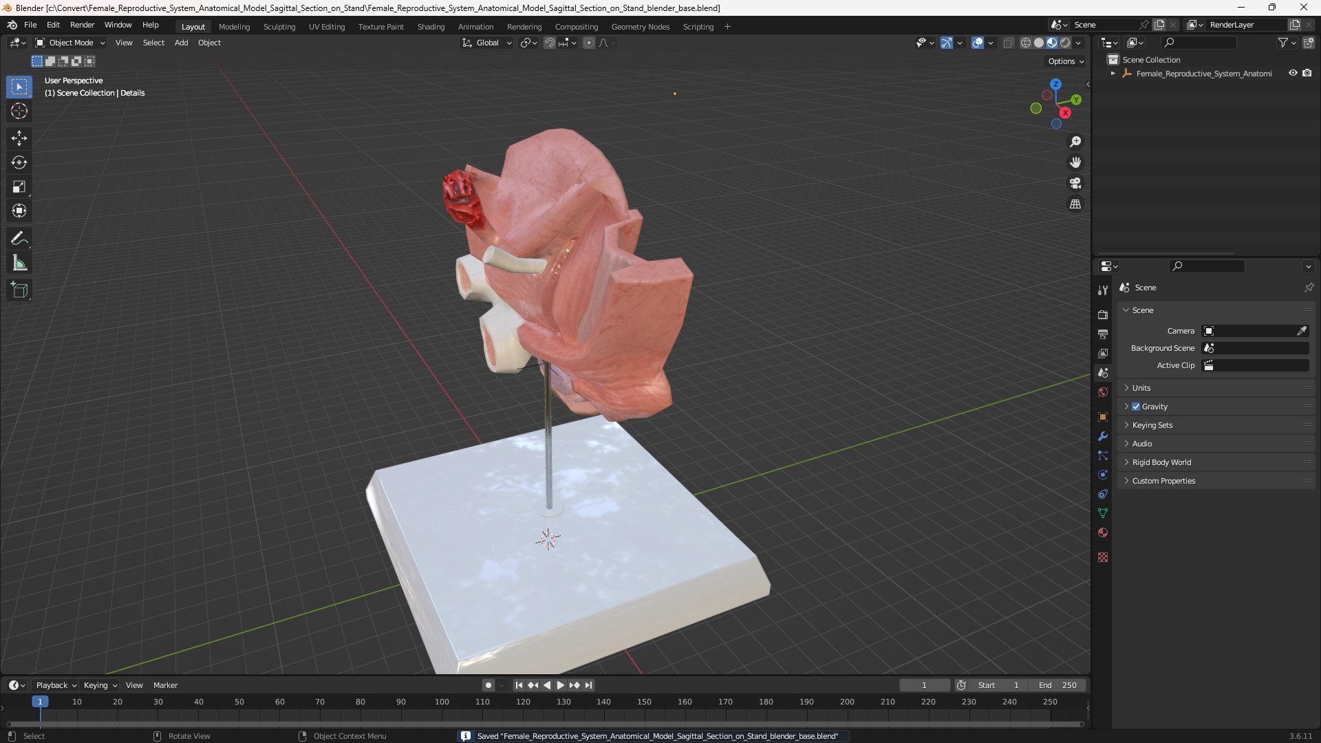 3D Female Reproductive System Anatomical Model Sagittal Section on Stand model https://p.turbosquid.com/ts-thumb/Po/6Sj2cI/Yi/female_reproductive_system_anatomical_model_sagittal_section_on_stand_1001/jpg/1756800057/1920x1080/fit_q87/64ae1786381cb453f8b8127b078367c2310fada1/female_reproductive_system_anatomical_model_sagittal_section_on_stand_1001.jpg