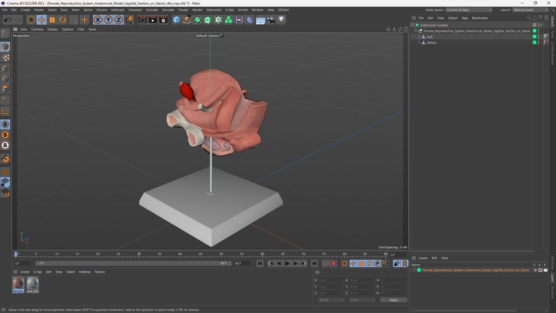 3D Female Reproductive System Anatomical Model Sagittal Section on Stand model https://p.turbosquid.com/ts-thumb/Po/6Sj2cI/lk/female_reproductive_system_anatomical_model_sagittal_section_on_stand_1003/jpg/1756800065/1920x1080/fit_q87/21978f255d57d6271cafb5f6eb69ceefd0afe091/female_reproductive_system_anatomical_model_sagittal_section_on_stand_1003.jpg