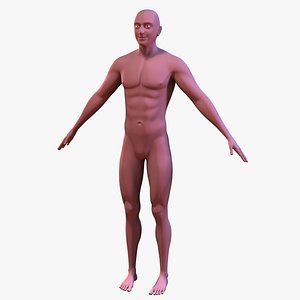ma realistic male body