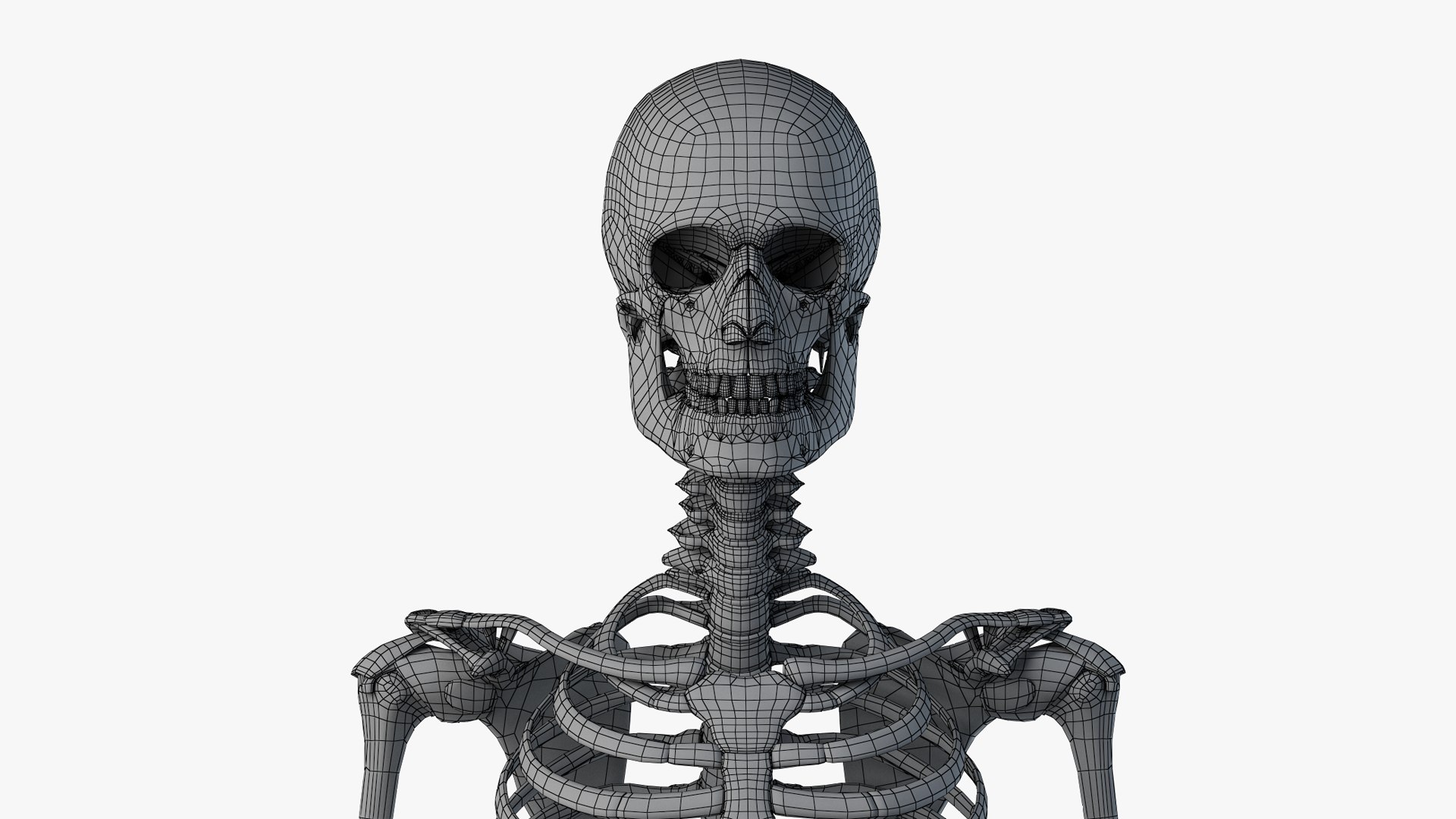 3D obese male anatomy model https://p.turbosquid.com/ts-thumb/Po/YPhGPK/bTlgyIIj/wire_all_skel0000/png/1581598795/1920x1080/fit_q87/e301b2a1ff4778dfcdb93acf6d3947d8c8bad30e/wire_all_skel0000.jpg