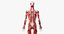 Anatomia Masculina Obesa Completa