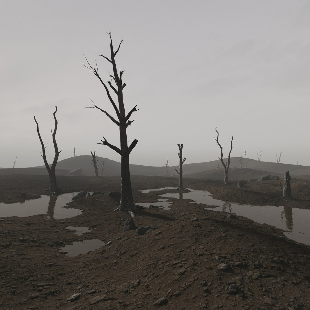 Dead Landscape 3D model - TurboSquid 1839758