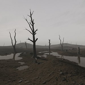 Dead Landscape 3D model