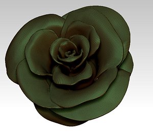 Solid Rose