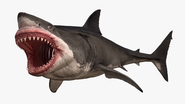 Curso Tubarão Branco 3D Autodesk 3ds Max 2021 e Photoshop – Gfx Total