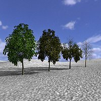 Tree, Trees, Arbol, Arboles