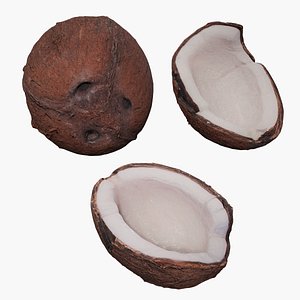 3D Coconut