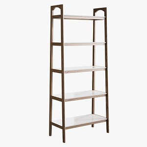 Madison Park Parker Ladder Bookcase