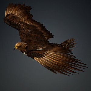 3D model Eagle-V3E