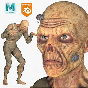 Realistic Rigged Mummy Male Character 3D Model